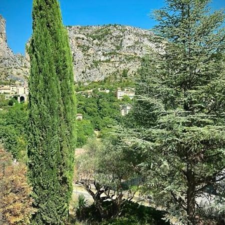 Grand Appartement En Face Du Village Moustiers-Sainte-Marie Exterior photo